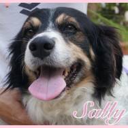 Sally 2