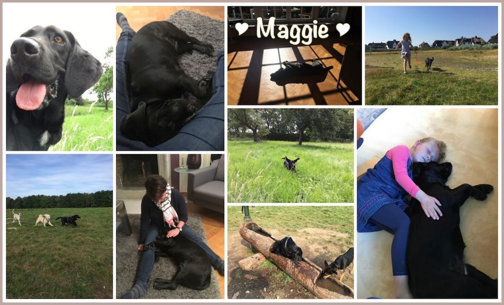 maggie-in-home