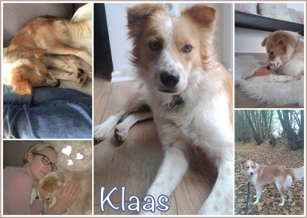 klaas-in-home